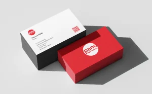 Exemple de maquette de cartes de visite PANO à personnaliser